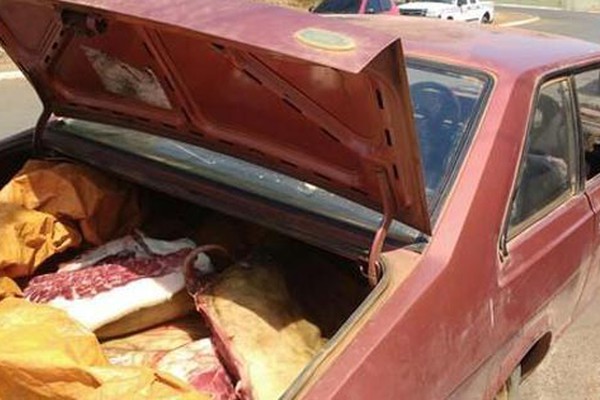 Carne suína transportada de forma irregular em porta malas de veículo é apreendida em Presidente Olegário