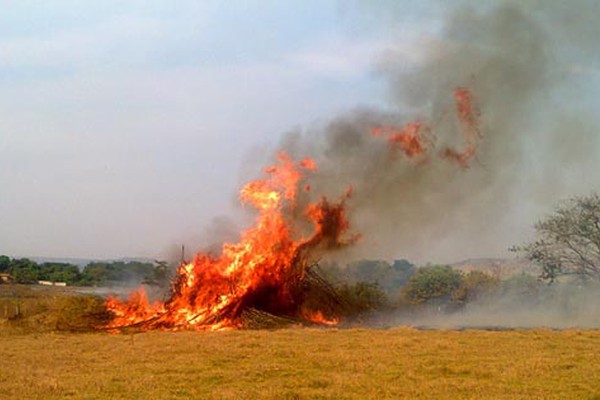 Cresce o número de queimadas em Patos de Minas e Corpo de Bombeiros emite um alerta