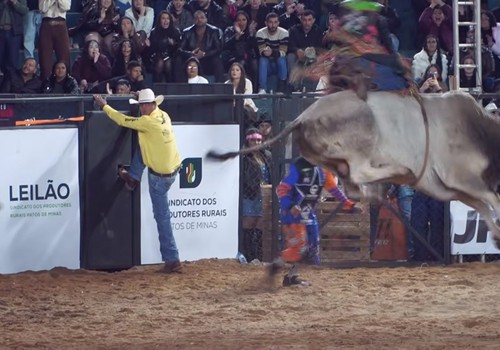 Touro pula de forma impressionante, peão se segura e comemora com chute no capacete; veja ao vivo