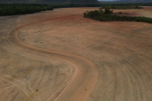 Mapbiomas: menor vegetação nativa expõe mais o país ao El Niño