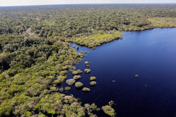 Cinco países aderem a fundo para conservação de florestas tropicais