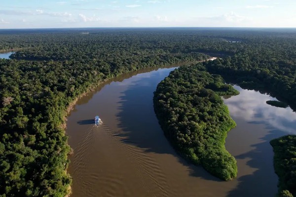 Fazendas ilegais de gado devastam áreas protegidas na Amazônia