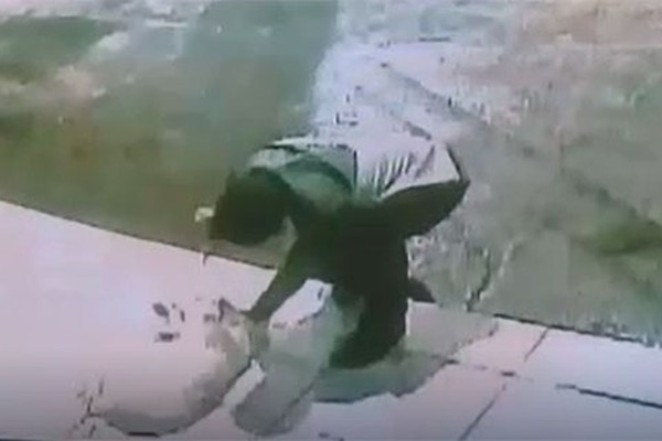 Jovem é flagrado por câmeras de segurança esfaqueando cão em Vazante e ato causa revolta