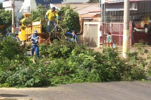 Prefeitura vai realizar mutirão para coletar galhos de árvores espalhados pela cidade