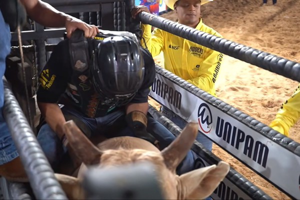 Abriu a porteira, mas peão cai no 2° pulo do animal no Rodeio Fenamilho 2026; veja ao vivo