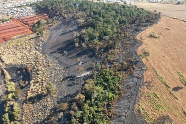 Cerca de 20 hectares da Mata do Cachorro foram afetados pelas queimadas nos últimos dias
