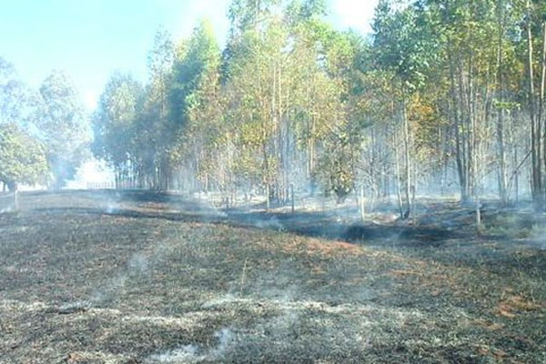 Incêndio consome cerca 400 hectares de vegetação e deixa rastro de destruição em Patos de Minas