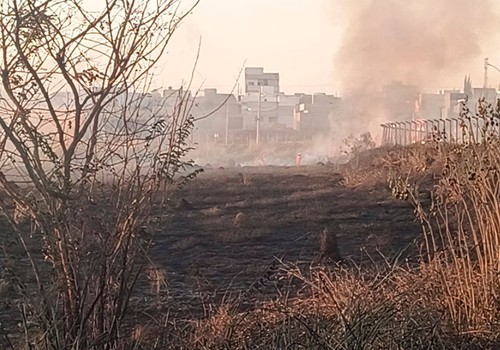 Polícia é acionada e tenta encontrar jovem que causou incêndio florestal de grandes proporções no bairro Planalto