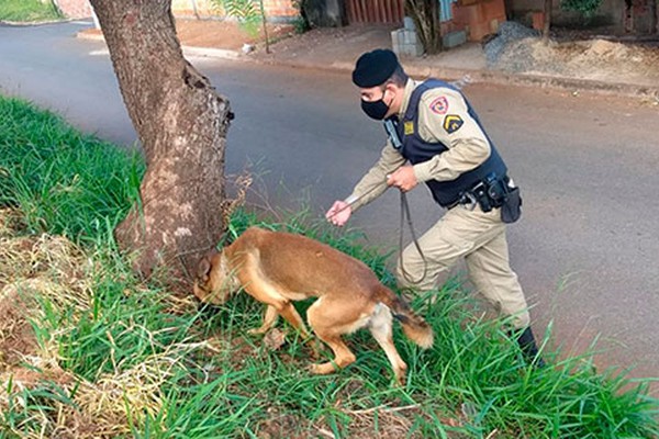 Com o auxílio de cão farejador, Polícia Militar encontra arma escondida em canteiro de avenida