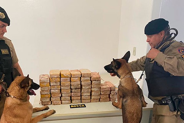 PM usa cães farejadores e apreende mais de 50kg de crack e pasta base de cocaína em Patrocínio