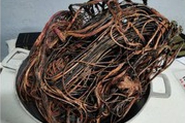 Homem é preso em flagrante após queimar grande quantidade de fios de cobre