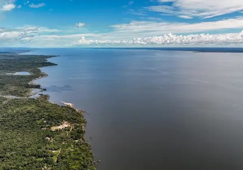 Amazônia tem mais de 2,7 mil espécies de peixes, aponta estudo