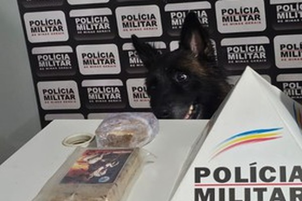 Motociclista é preso após fugir de blitz policial e dispensar bolsa com drogas às margens da MGC354