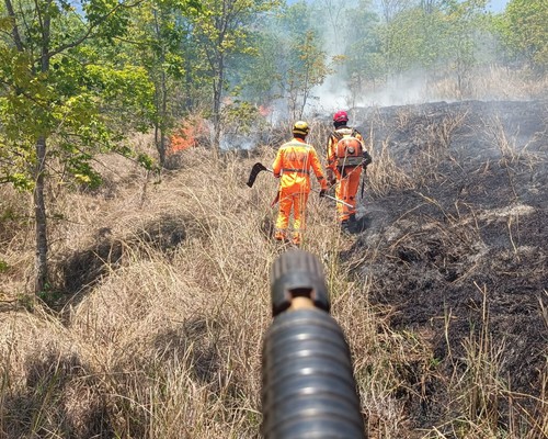 Bombeiros passam o dia combatendo incêndio que ameaçou residências na zona rural de Lagoa Formosa