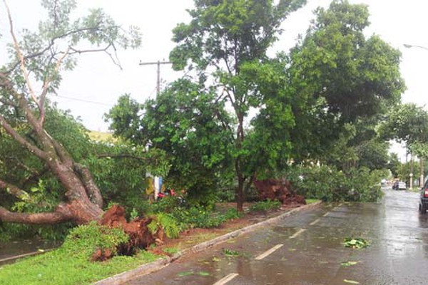 Temporal de granizo arranca árvores, alaga ruas e assusta moradores em Patos de Minas