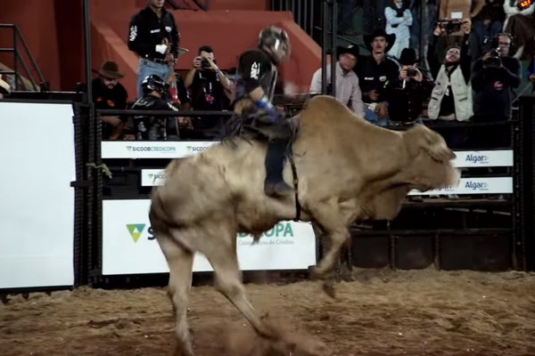Touro de 1 tonelada impressiona com altura de pulo, mas peão se segura e vence os 8 segundos; veja ao vivo