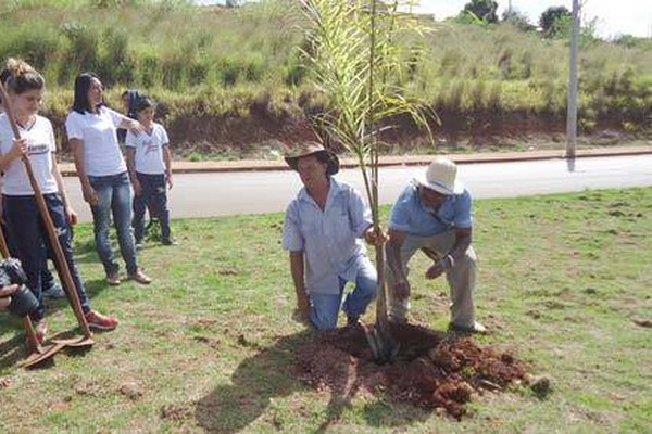 Programa de arborização faz plantio de árvores no prolongamento da Fátima Porto