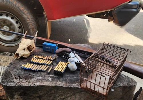 Polícia Militar de Meio Ambiente apreende armas, munições e aves silvestres no distrito de Galena