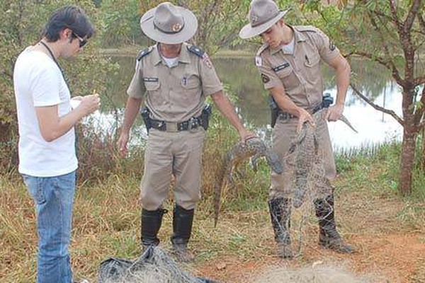 Pescador é flagrado usando método predatório e caçando jacarés perto de Alagoas