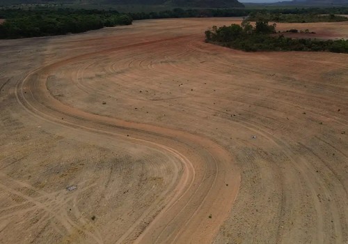 Mapbiomas: menor vegetação nativa expõe mais o país ao El Niño