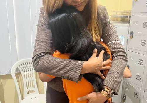 Entenda como nova lei põe fim a atenuantes para estupro de vulnerável