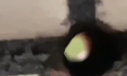 Idoso de 66 anos é indiciado por espionar adolescentes no banheiro por meio de buraco oculto na parede