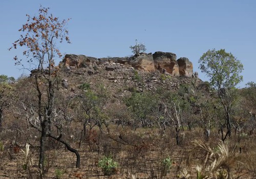 Pesquisa com IA identifica terras agrícolas abandonadas no Cerrado