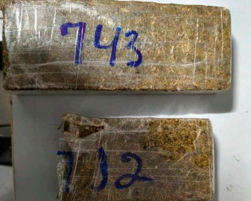 Motorista de aplicativo é preso com drogas e diz que vendia para complementar renda