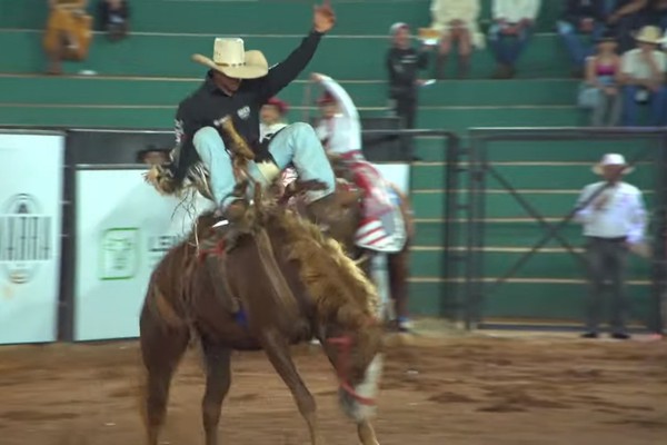 Peão esporeia, cavalo pula, mas ele se segura e vence os 8 segundos na 1ª montaria da noite; veja ao vivo
