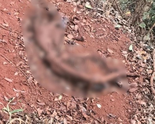 Ossada humana é encontrada às margens da BR-354, próximo ao distrito de Chaves, em Rio Paranaíba