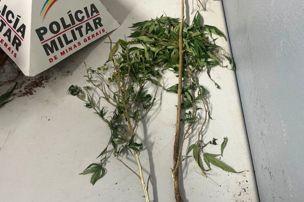 Mulher é presa após ser flagrada tentando se desfazer de drogas pela janela do apartamento