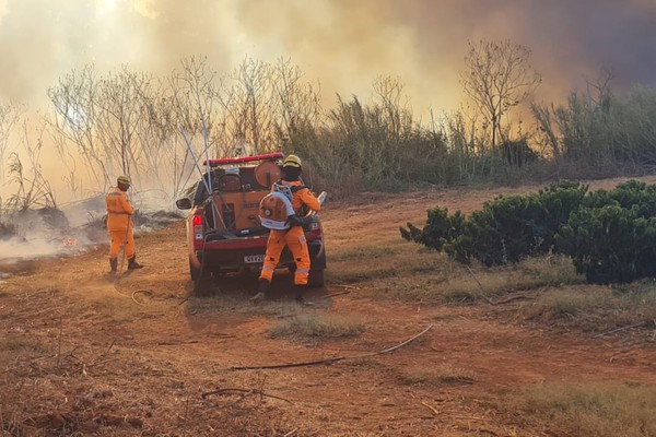 Bombeiros contêm incêndio e impedem que chamas atingissem granja às margens da BR352