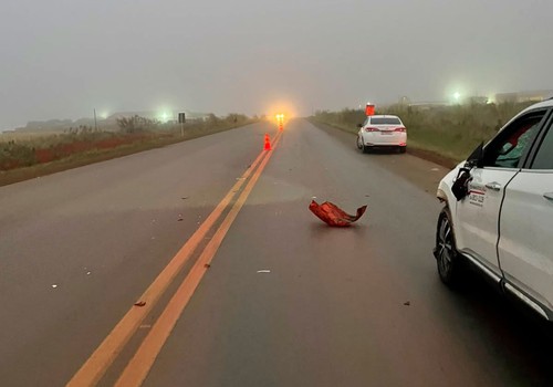 Pedestre morre após ser atropelado por  Fiat Toro na BR-354, em Rio Paranaíba
