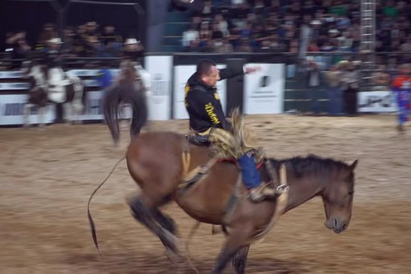 Peão se segura no lombo do cavalo e comemora com estrelinha no Rodeio Fenamilho 2026; veja ao vivo