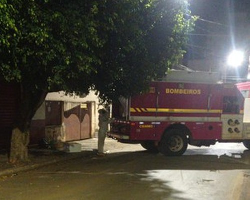 Com auxílio de apicultor, Bombeiros retiram enxame gigante de abelhas do Centro de Patos de Minas