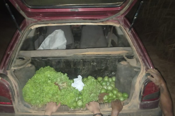 Homens acabam presos por furto de tomate e alface em fazenda de Patrocínio