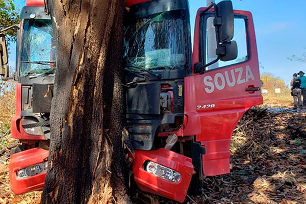 Caminhão passa direto no trevo de acesso à Suinco, bate em árvore e dois ficam feridos