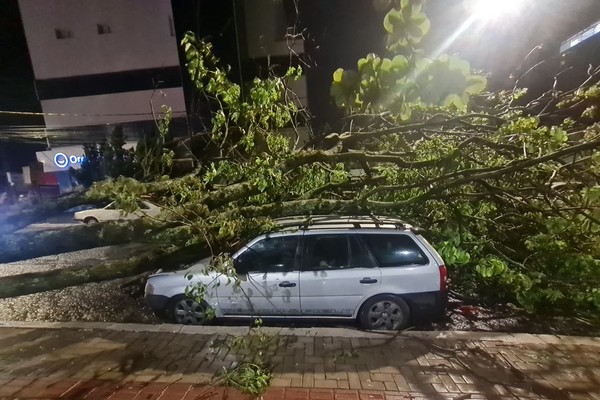Temporal assusta patenses, derruba árvore sobre carros e causa estragos em Patos de Minas