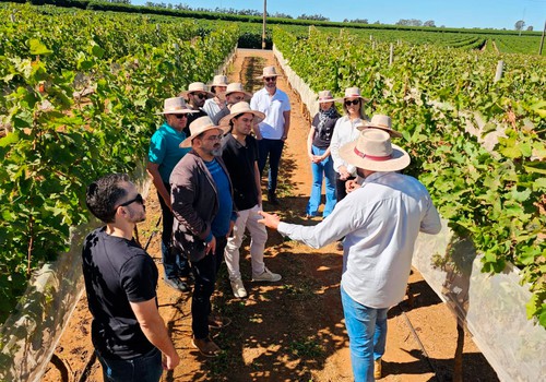 Da xícara à taça: visita sensorial da Casa Bruxel oferece cafés; vinhos e sabores do Cerrado; veja