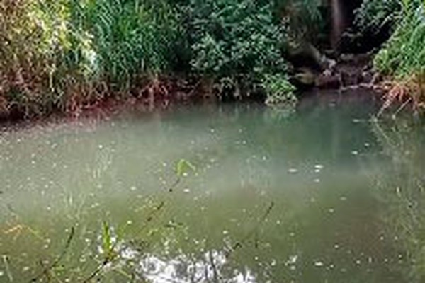 Moradores denunciam despejo irregular de esgoto em represa no Bairro Sorriso em Patos de Minas