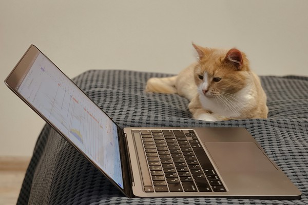 Como partilhar o seu portfólio de trabalho ou currículo pesado sem depender do e-mail?