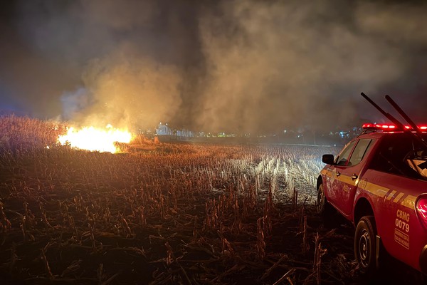 Incêndio em vegetação destrói cerca de 16 hectares de área verde em Patos de Minas