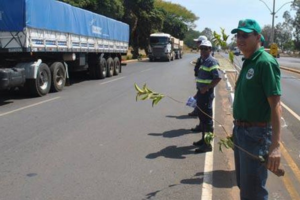 Voluntários distribuem mudas de árvores e informações para motoristas na MGC 354