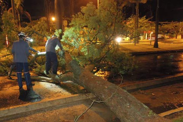 Temporal alivia estiagem em Patos de Minas, mas derruba árvores e deixa bairros no escuro