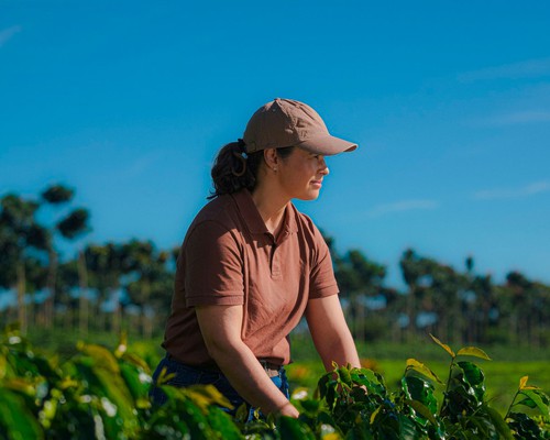 14º Prêmio Café do Cerrado terá nova modalidade para valorizar práticas regenerativas na cafeicultura