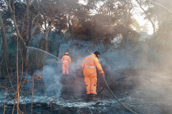 Homens do Corpo de Bombeiros controlam incêndio na Mata do Cachorro em Patos de Minas