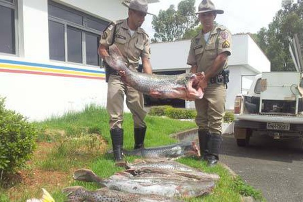 PM desconfia de casa desocupada e apreende 143 kg de peixe em PO