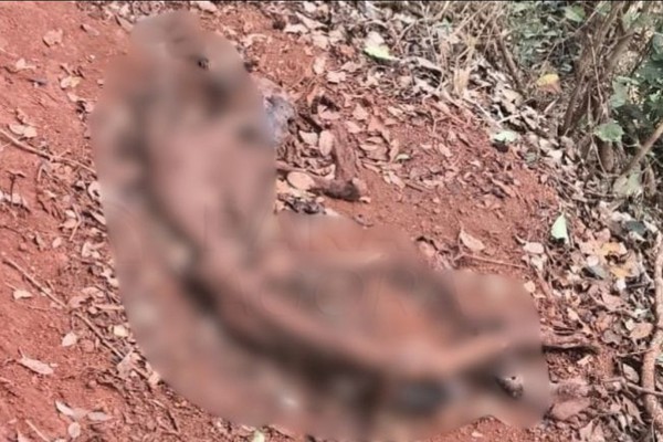 Ossada humana é encontrada às margens da BR-354, próximo ao distrito de Chaves, em Rio Paranaíba