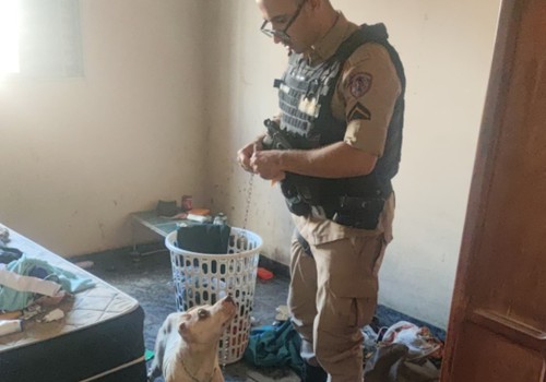 Cadela pitbull com oito filhotes são resgatados abandonados, sem água ou comida, em Rio Paranaíba