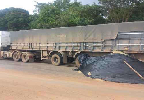 Carga de café fica espalhada pela BR-352 após colisão entre caminhões em Lagoa Formosa